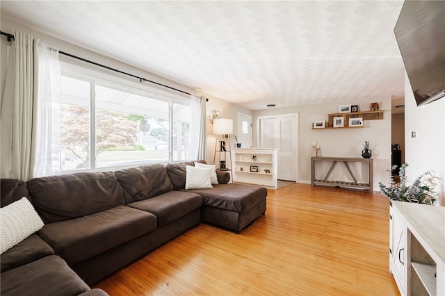 118 Fern Castle Dr, Irondequoit, NY 14622 - living room with light wood finished floors