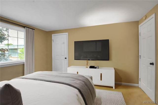150 S Union Rd Unit 123, Amherst, NY 14221 - bedroom featuring light colored carpet and baseboards