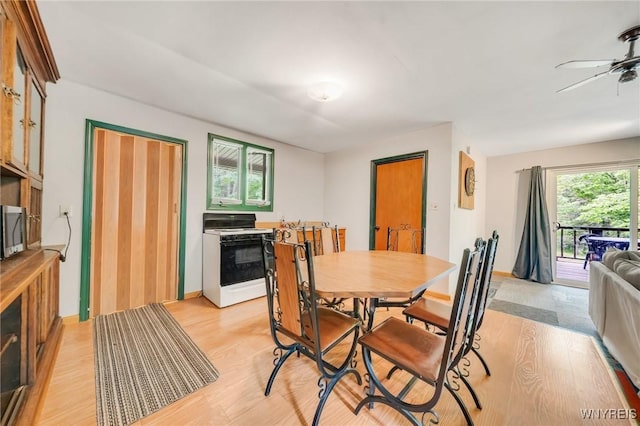 3847 Cash Hill Rd, Machias, NY 14101 - photo 16