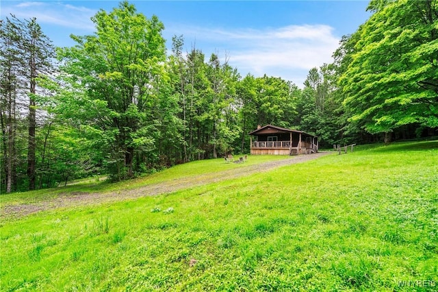 3847 Cash Hill Rd, Machias, NY 14101 - photo 36