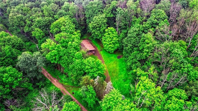3847 Cash Hill Rd, Machias, NY 14101 - photo 44