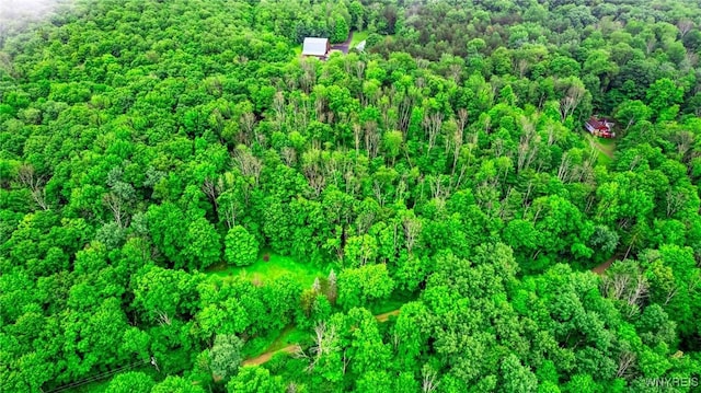 3847 Cash Hill Rd, Machias, NY 14101 - photo 50