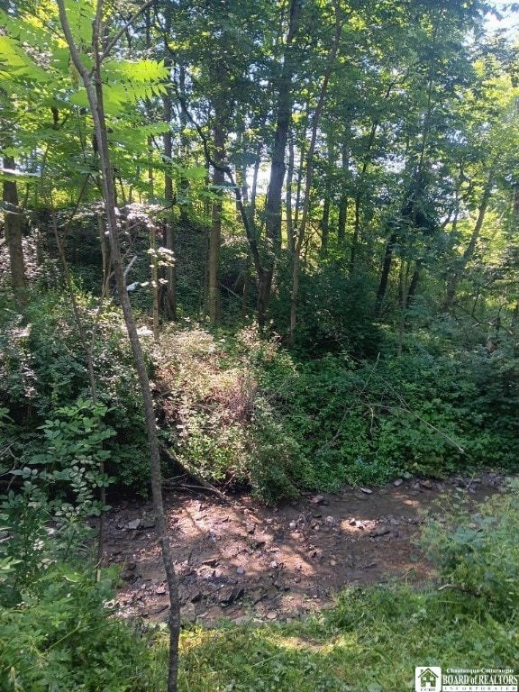 960 Peterson Rd, Carroll, NY 14738 - view of local wilderness