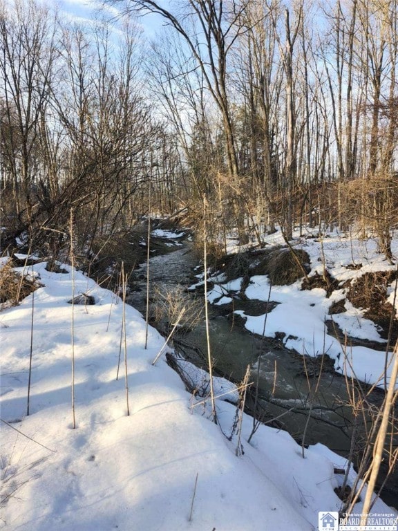 960 Peterson Rd, Carroll, NY 14738 - view of yard