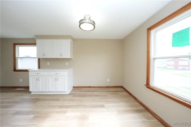 22 Vanderbilt Ave, Cheektowaga, NY 14043 - interior space featuring baseboards and light wood-style flooring