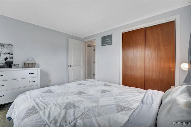 1218 Baseline Rd, Grand Island, NY 14072 - bedroom with a closet
