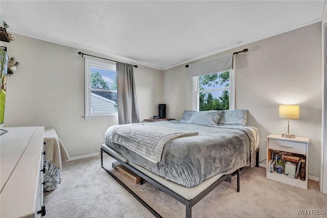 1218 Baseline Rd, Grand Island, NY 14072 - bedroom with carpet and multiple windows