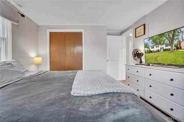 1218 Baseline Rd, Grand Island, NY 14072 - carpeted bedroom featuring ornamental molding