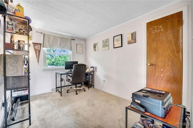 1218 Baseline Rd, Grand Island, NY 14072 - office space featuring carpet and a textured ceiling