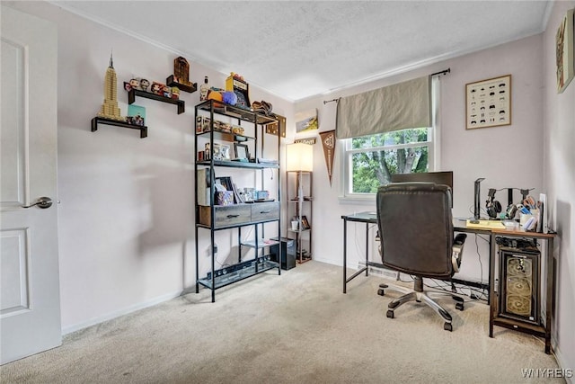 1218 Baseline Rd, Grand Island, NY 14072 - carpeted home office with crown molding and baseboards