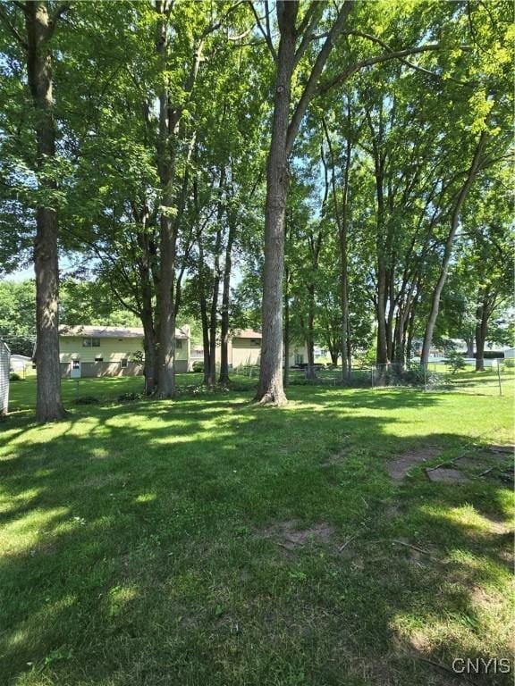 4777 Glencrest Ave, Clay, NY 13088 - view of yard