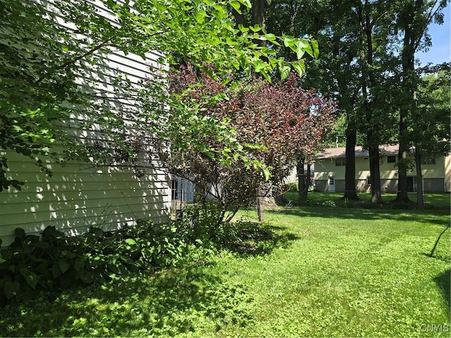 4777 Glencrest Ave, Clay, NY 13088 - view of green lawn