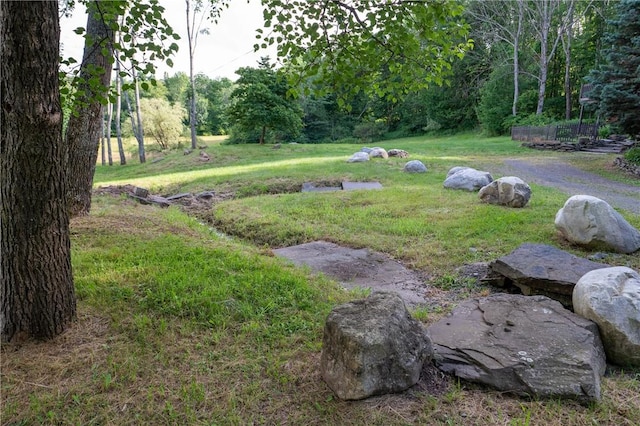 817 Flax Island Rd, Otego, NY 13825 - view of grassy yard featuring a view of trees