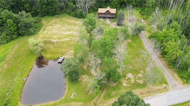 817 Flax Island Rd, Otego, NY 13825 - aerial overview of property's location