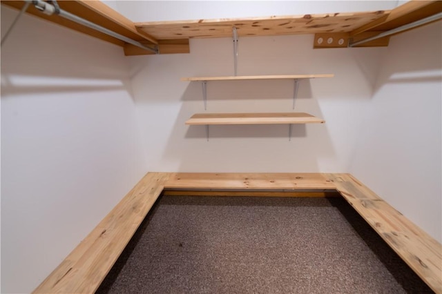 817 Flax Island Rd, Otego, NY 13825 - spacious closet with carpet flooring
