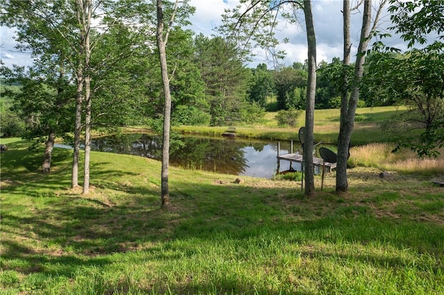 817 Flax Island Rd, Otego, NY 13825 - water view with a boat dock