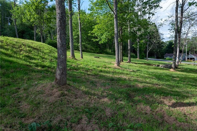 817 Flax Island Rd, Otego, NY 13825 - view of grassy yard