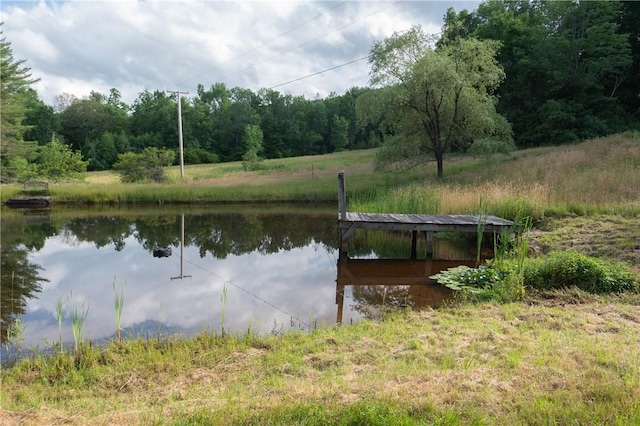 817 Flax Island Rd, Otego, NY 13825 - dock area featuring a water view and a view of trees