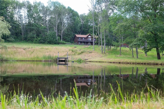 817 Flax Island Rd, Otego, NY 13825 - view of yard with a water view and a boat dock