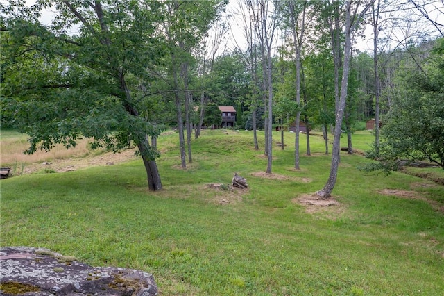 817 Flax Island Rd, Otego, NY 13825 - view of green lawn