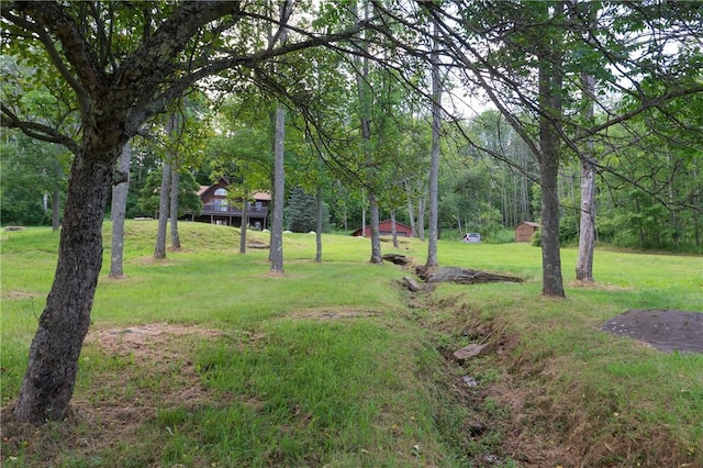 817 Flax Island Rd, Otego, NY 13825 - view of green lawn
