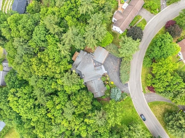 823 Skylane, Union, NY 13760 - aerial view of property's location