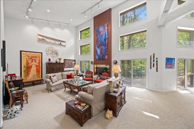 823 Skylane, Union, NY 13760 - living area featuring rail lighting, a high ceiling, carpet flooring, and healthy amount of natural light