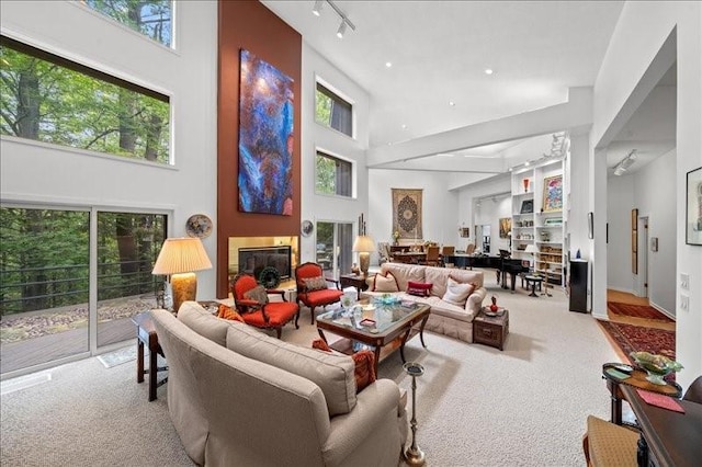 823 Skylane, Union, NY 13760 - living room with a high ceiling, carpet flooring, and rail lighting