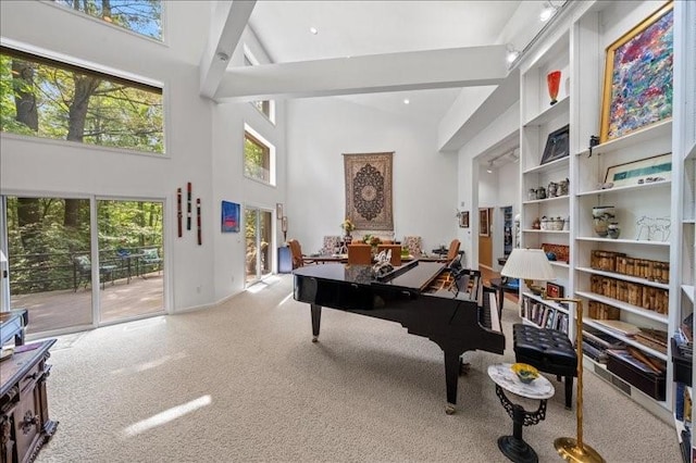 823 Skylane, Union, NY 13760 - sitting room featuring high vaulted ceiling, carpet, and beam ceiling
