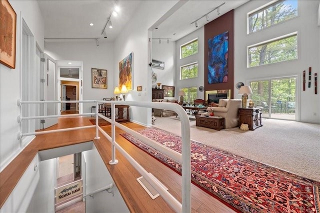 823 Skylane, Union, NY 13760 - hall with rail lighting, a towering ceiling, healthy amount of natural light, and carpet