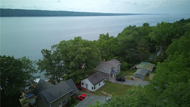 5681 Leidenfrost Adams Rd, Hector, NY 14841 - bird's eye view of a nearby body of water