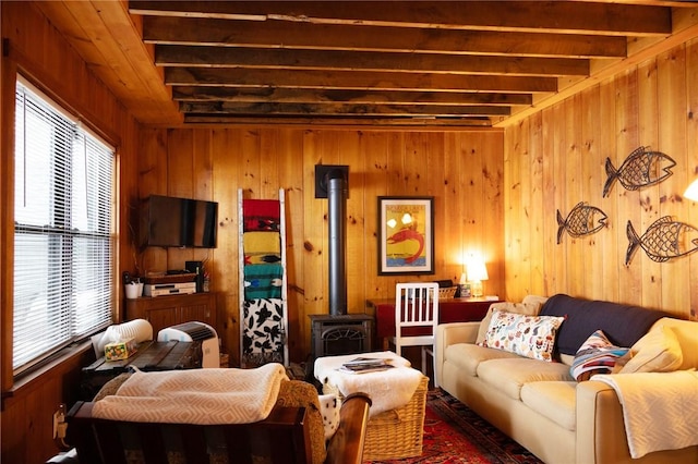 5681 Leidenfrost Adams Rd, Hector, NY 14841 - living room with healthy amount of natural light, a wood stove, and wood walls