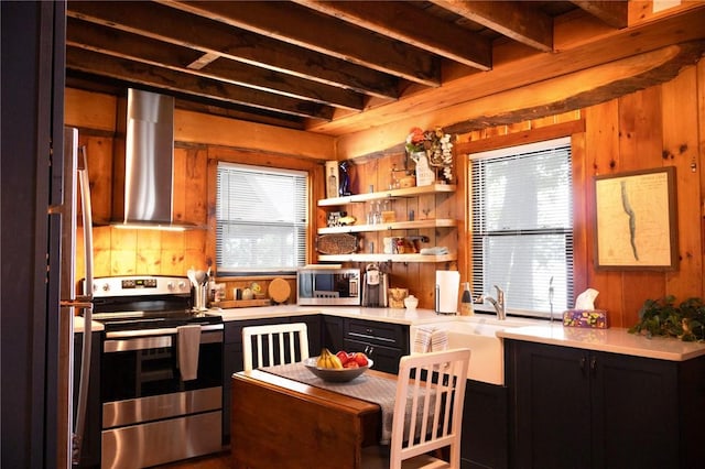 5681 Leidenfrost Adams Rd, Hector, NY 14841 - kitchen with stainless steel appliances, range hood, dark cabinets, light countertops, and wood walls