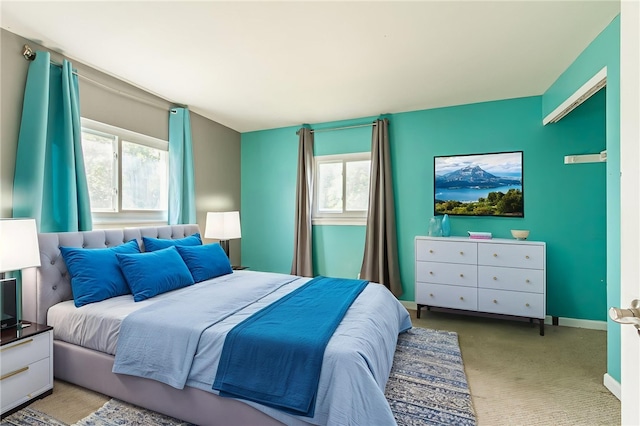 209 Thompson Rd, Henrietta, NY 14623 - bedroom with multiple windows and carpet flooring