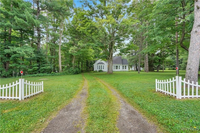 7709 Olean Rd, Holland, NY 14080 - view of yard