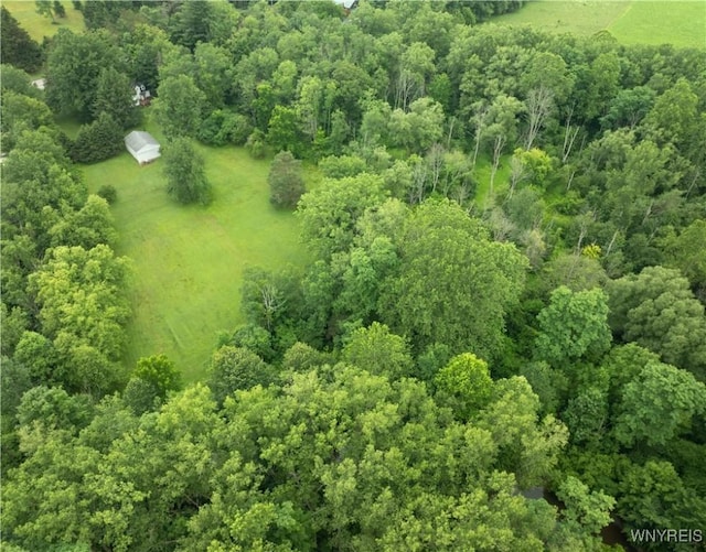 7709 Olean Rd, Holland, NY 14080 - drone / aerial view of a forest