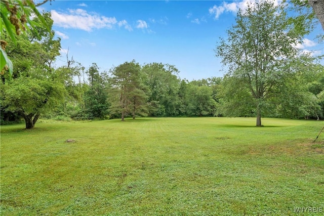 7709 Olean Rd, Holland, NY 14080 - view of grassy yard