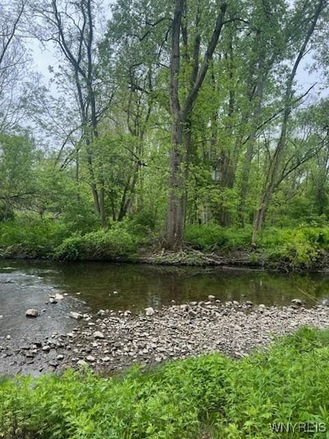 7709 Olean Rd, Holland, NY 14080 - water view