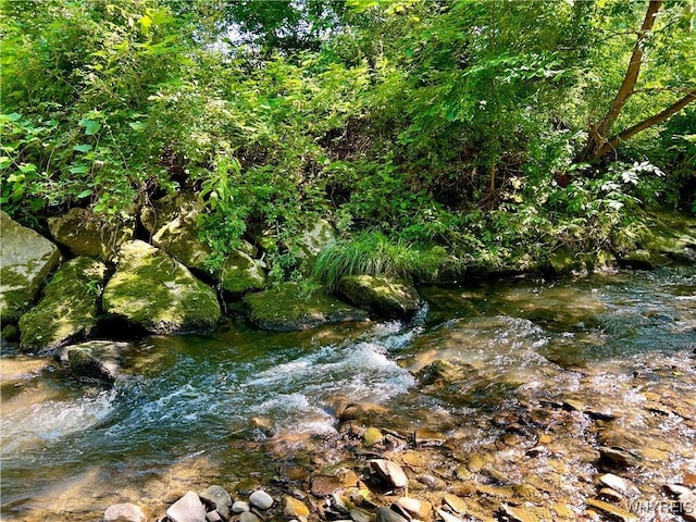 7709 Olean Rd, Holland, NY 14080 - view of local wilderness