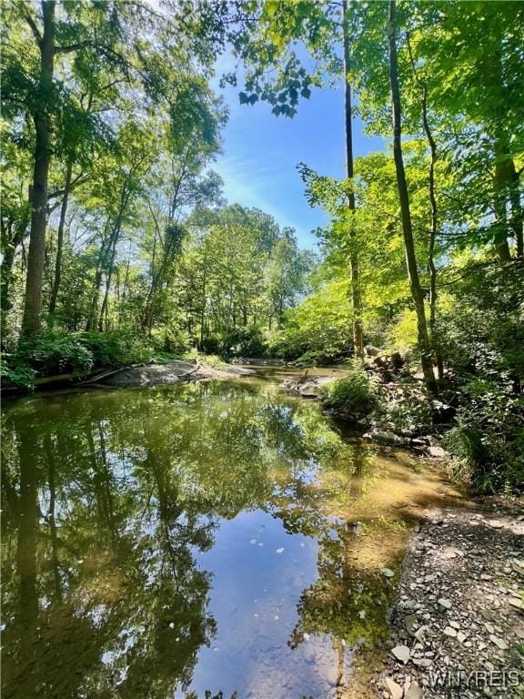 7709 Olean Rd, Holland, NY 14080 - water view