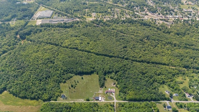9184 Newcomb Rd, Evans, NY 14006 - view of property location featuring a heavily wooded area