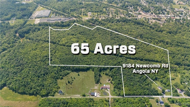 9184 Newcomb Rd, Evans, NY 14006 - aerial overview of property's location featuring a heavily wooded area and property boundaries highlighted