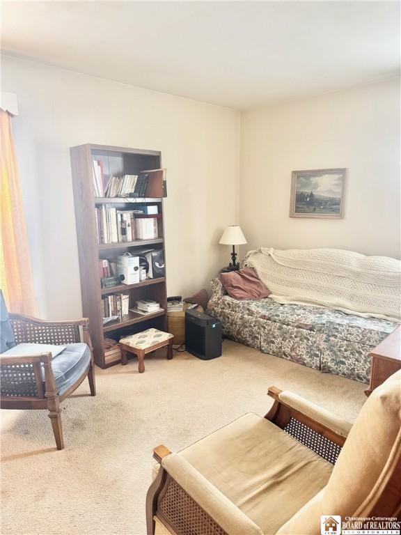 297 S Shore Blvd, Lackawanna, NY 14218 - photo 15