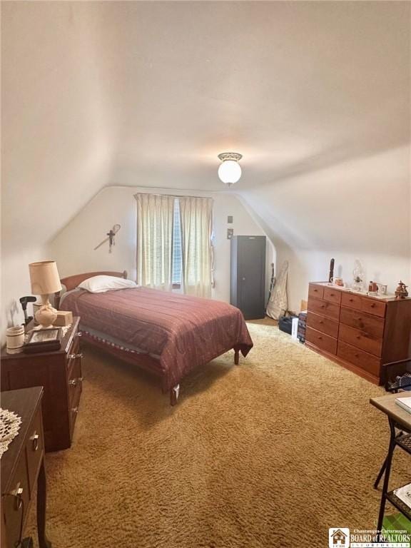 297 S Shore Blvd, Lackawanna, NY 14218 - photo 18
