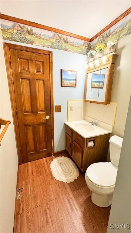 1155 County Route 53, Scriba, NY 13126 - bathroom featuring wood finished floors, vanity, and decorative backsplash