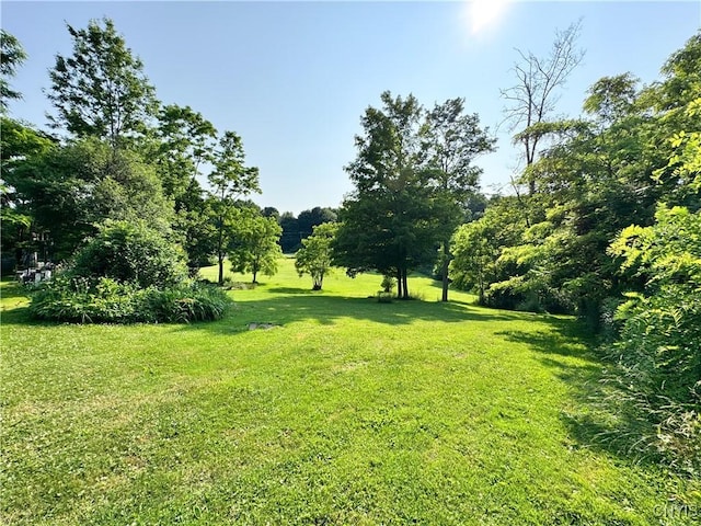 1155 County Route 53, Scriba, NY 13126 - view of green lawn