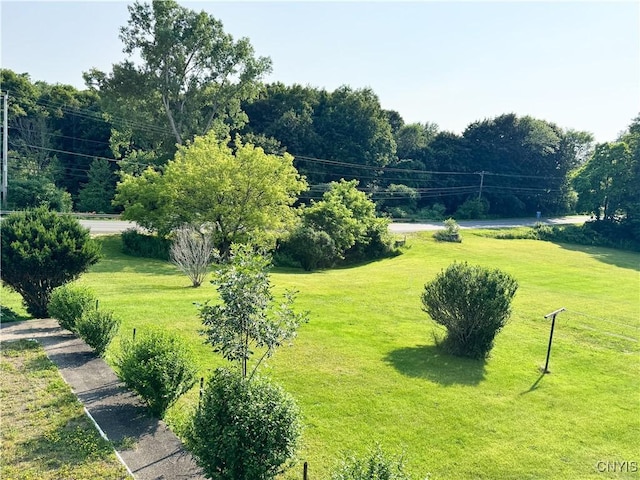 1155 County Route 53, Scriba, NY 13126 - view of grassy yard