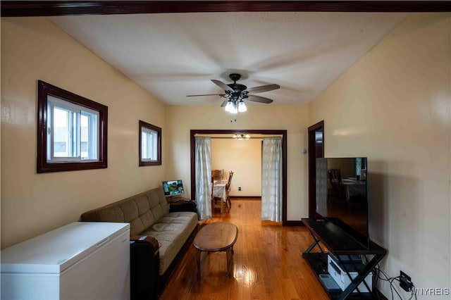 14 Phyllis Ave, Buffalo, NY 14215 - living area with a ceiling fan and wood finished floors