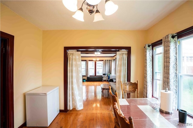 14 Phyllis Ave, Buffalo, NY 14215 - dining area with a chandelier, light wood finished floors, healthy amount of natural light, and radiator