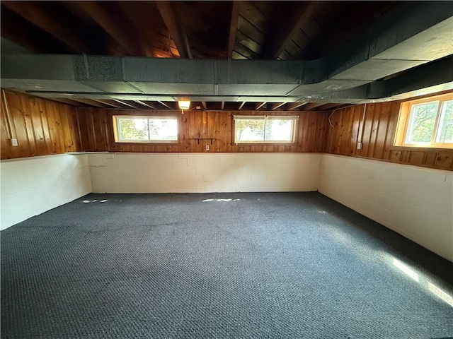 5 Breen St, Mount Morris, NY 14510 - basement featuring concrete block wall and carpet flooring